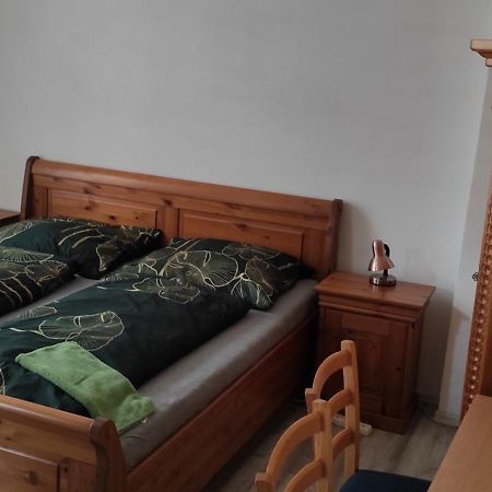 Horní MaršovU Žabky公寓 外观 照片